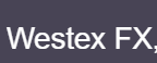 Westex FX