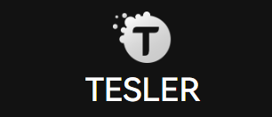 Как инвестировать с Tesler?