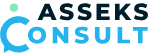 Asseks Consult обзор