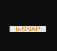 B-Snap Trade обзор