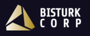 BisturkCorp обзор