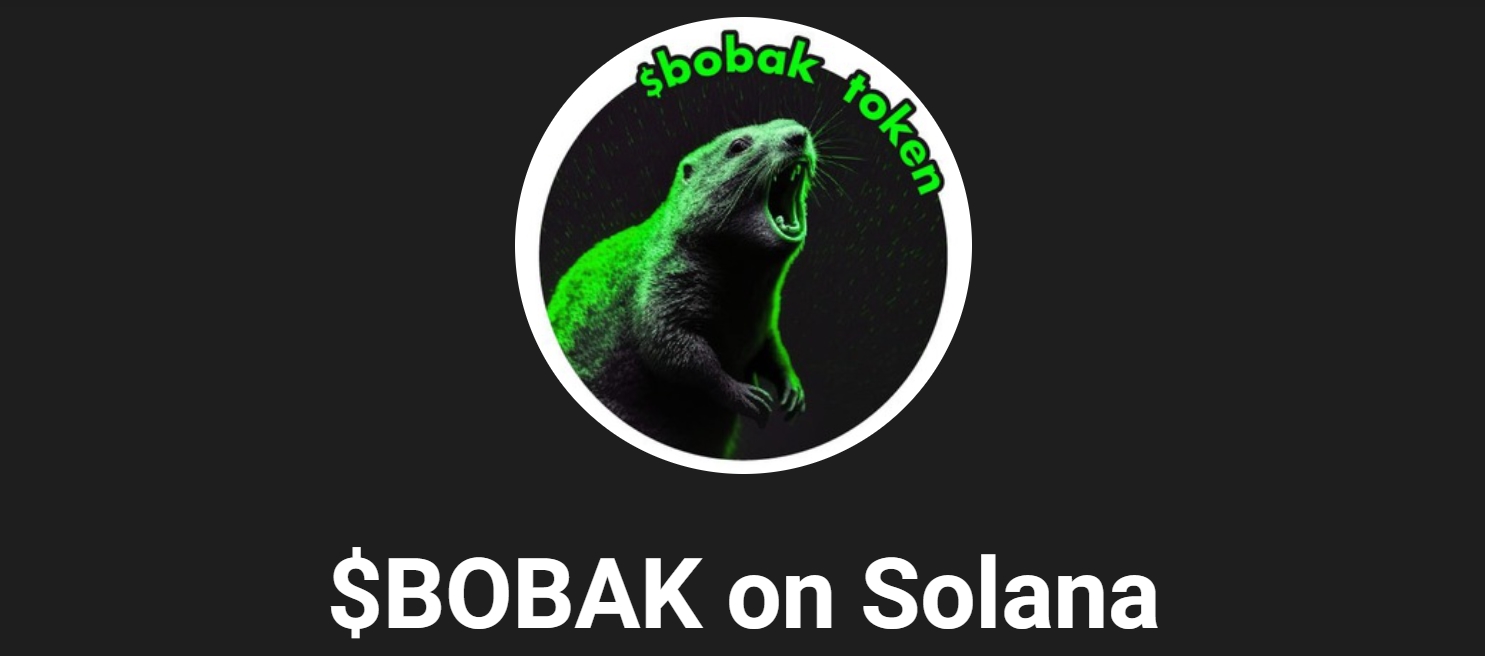 Bobak bot разоблачение