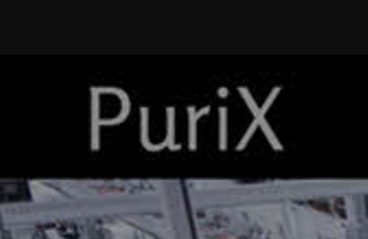 PuriX разоблачение